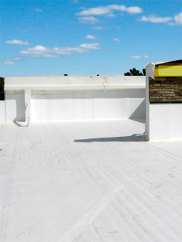 Ensure safety by Roof coating