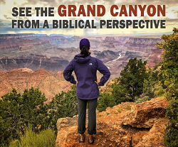 Grand Canyon Tours: What You Need to Know
