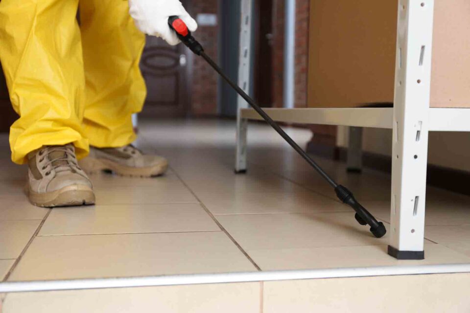 The Importance of Pest Control Southend