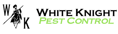 The best pest control Essex has to offer